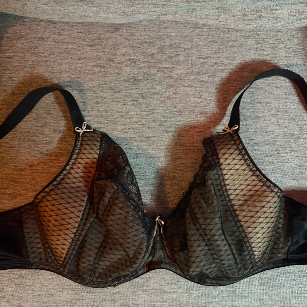 Chic Black Mesh Lace Bra